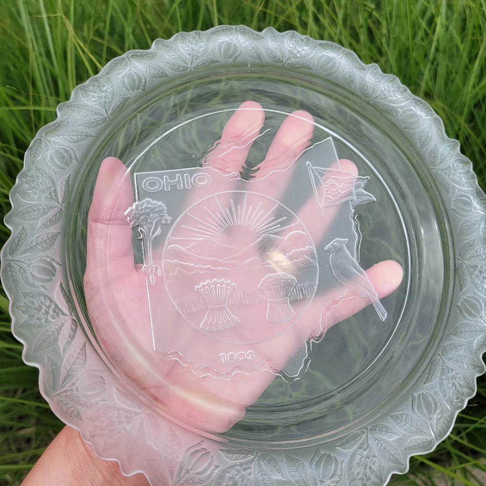 Ohio Souvenir Glass Plate ~ Frosted Floral Rim ~ Ohio Seal, Bird, Flag ~ FINAL!